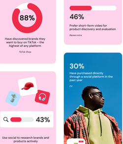 NetInfluencer TikTok Purchases